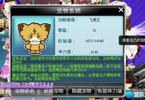 qq飞车新宠物爆料最新,神秘宠物降临!QQ飞车新宠物爆料抢先看 第2张 qq飞车新宠物爆料最新,神秘宠物降临!QQ飞车新宠物爆料抢先看 第2张