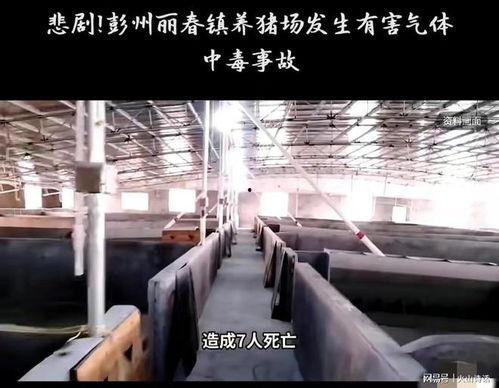 彭州网友爆料事件最新,揭秘事件背后惊人真相! 第3张 彭州网友爆料事件最新,揭秘事件背后惊人真相! 第3张